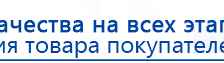 Аппаратно-программный комплекс «ROFES E01C» (Рофэс) купить в Зарайске, Rofes купить в Зарайске, Скэнар официальный сайт - denasvertebra.ru